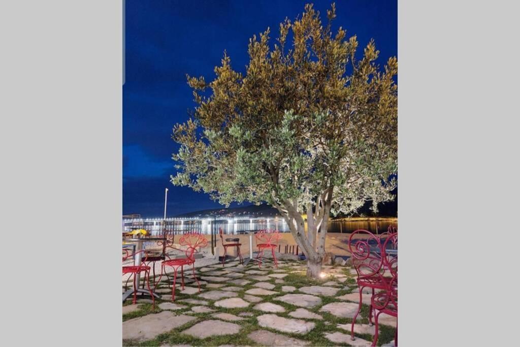 Oleandar Lägenhet Trogir Exteriör bild